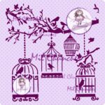 Pajaros, Jaulas y Ramas