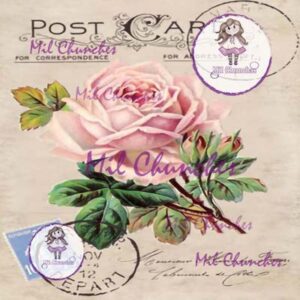 Cromo Papel Flores-046