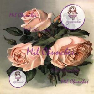 Cromo Papel Flores-057