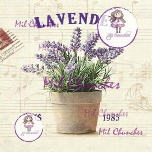 Cromo Papel Flores-063