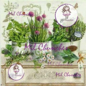 Cromo Papel Flores 008