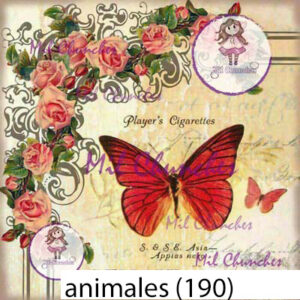 Cromo Papel Animales-190
