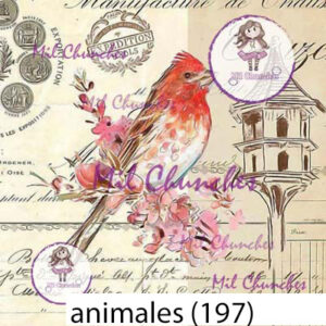 Cromo Papel Animales-197