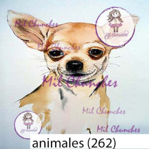 Cromo Papel Animales-262