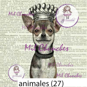 Cromo Papel Animales 027