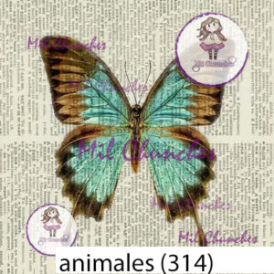 Cromo Papel Animales-314