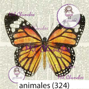 Cromo Papel Animales-324