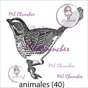 Cromo Papel Animales 040