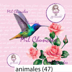 Cromo Papel Animales-047