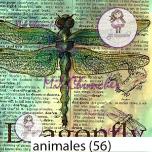 Cromo Papel Animales-056