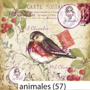 Cromo Papel Animales-057