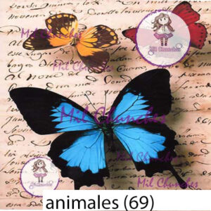 Cromo Papel Animales-069