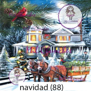 Cromo Papel Navidad-088